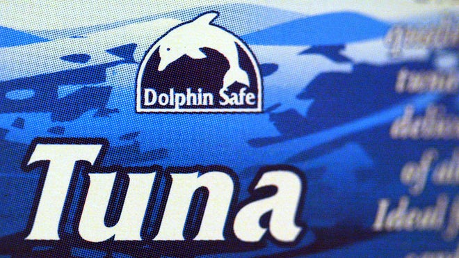 tuna safe.jpg